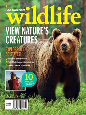 cover image of See America! Wildlife